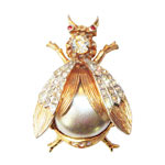 Insect brooch