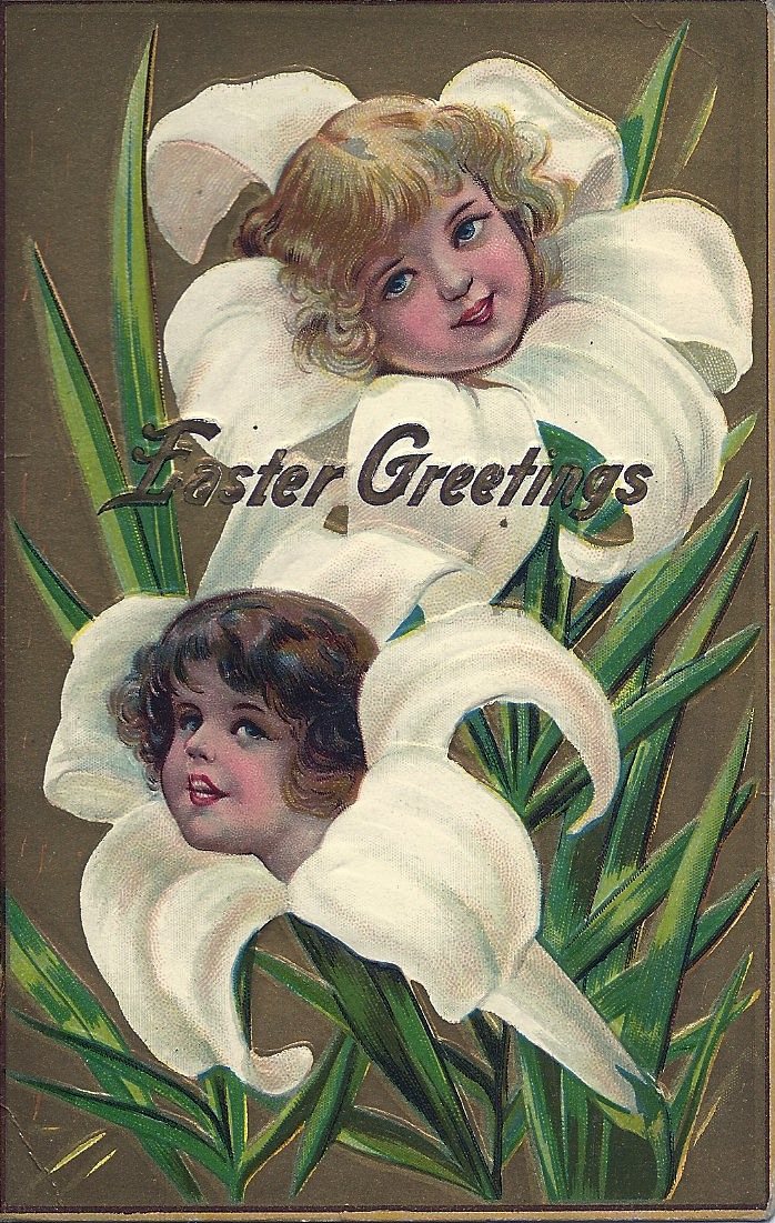 antique Easter lily postcard
