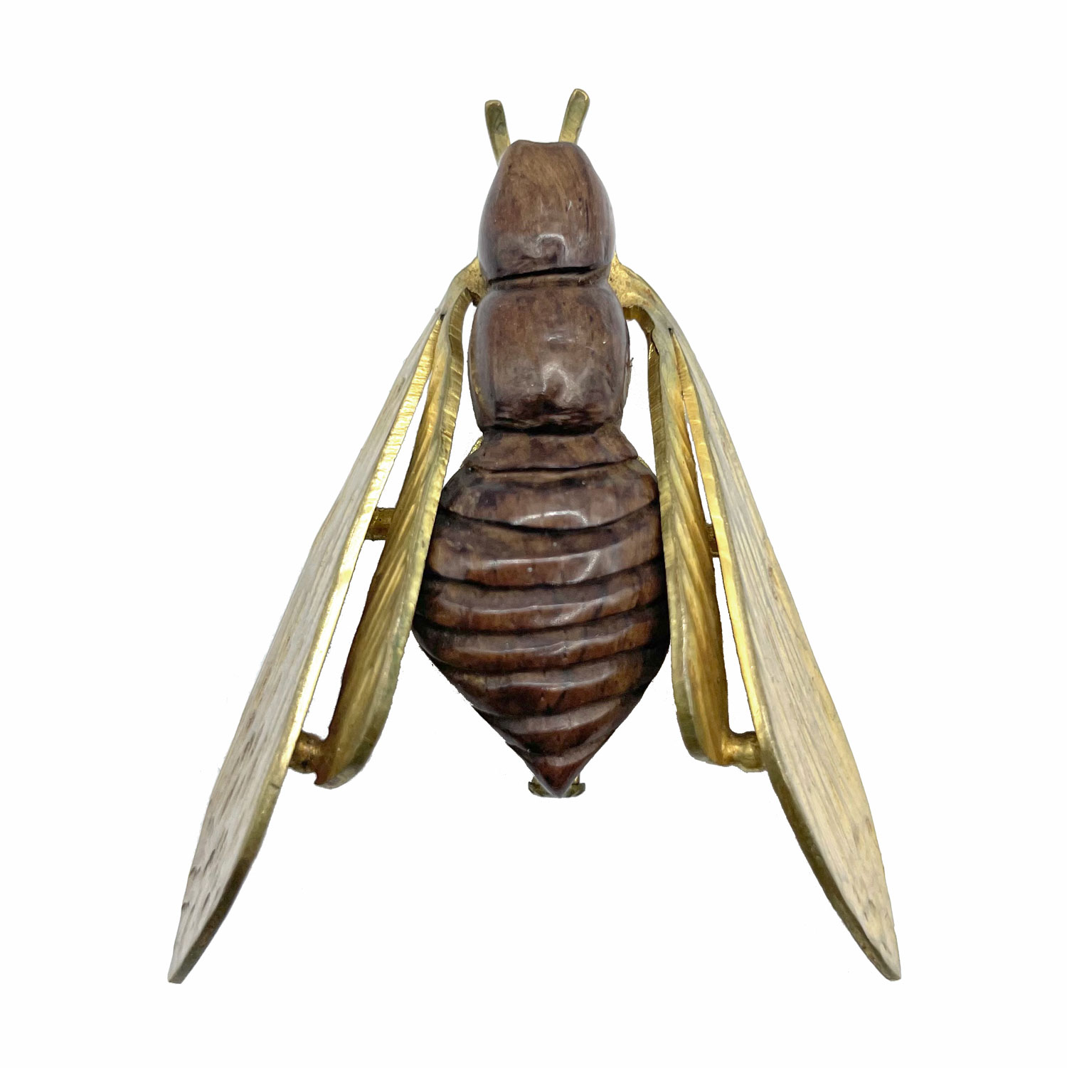 Rosewood cicada insect brooch