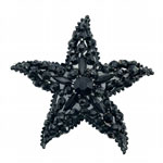 Weiss jet rhinestone starfish pin