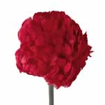 1950s feather hat