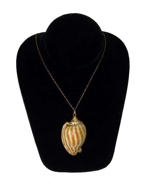 Guilded seashell pendant necklace